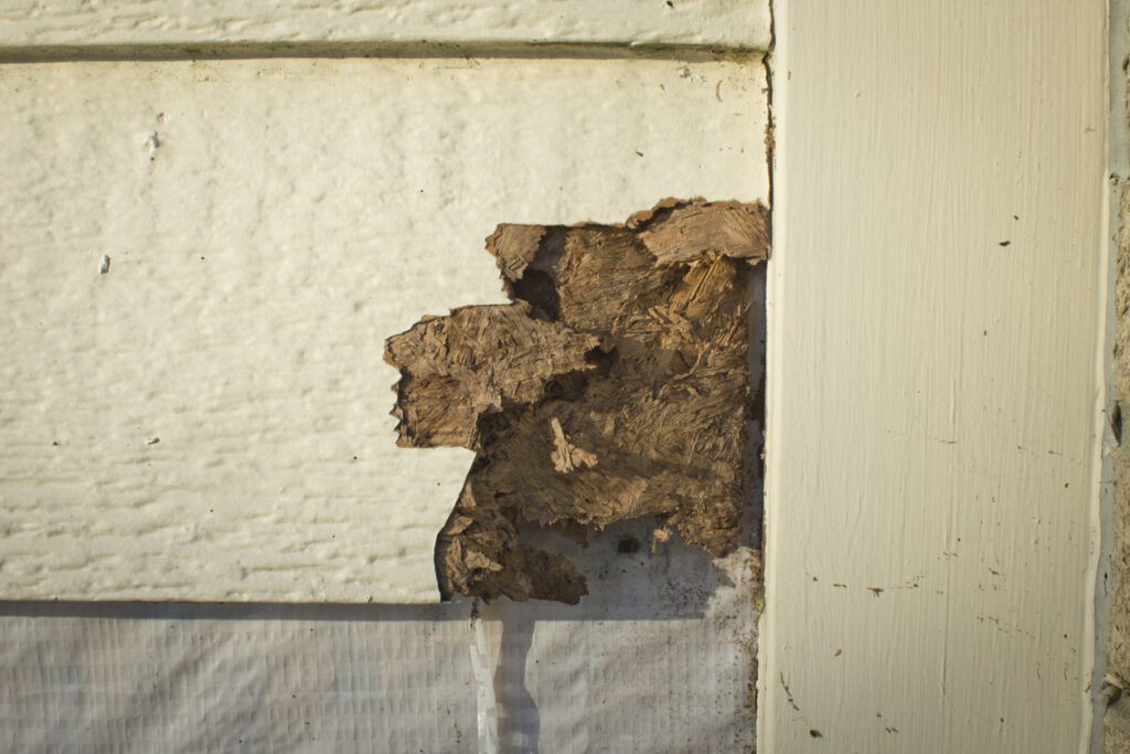 Damage to exterior siding