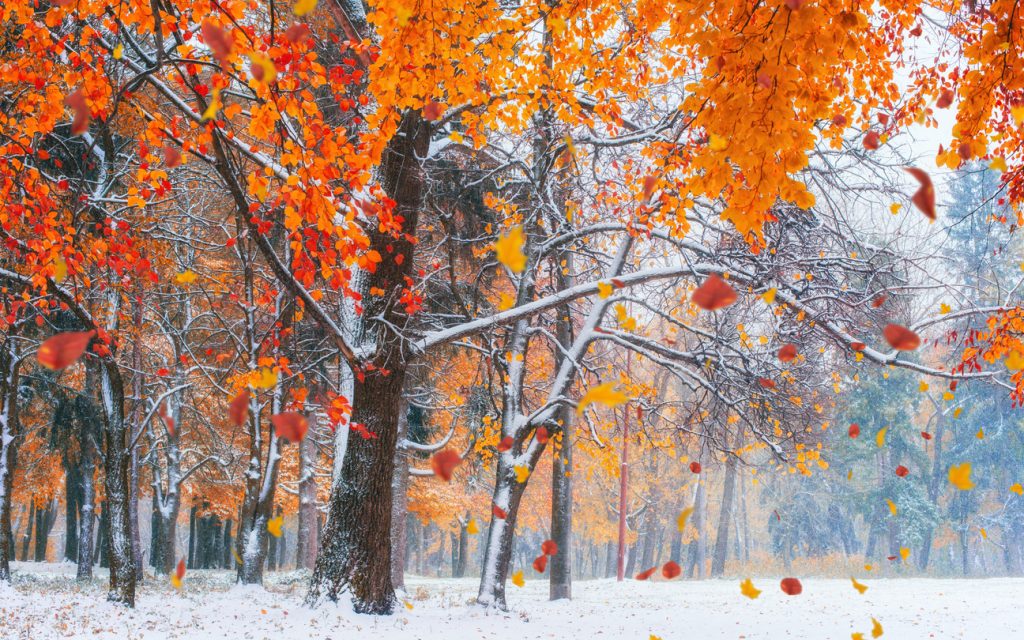 How To Transition Your Home From Fall To Winter - JM Roofing & Siding