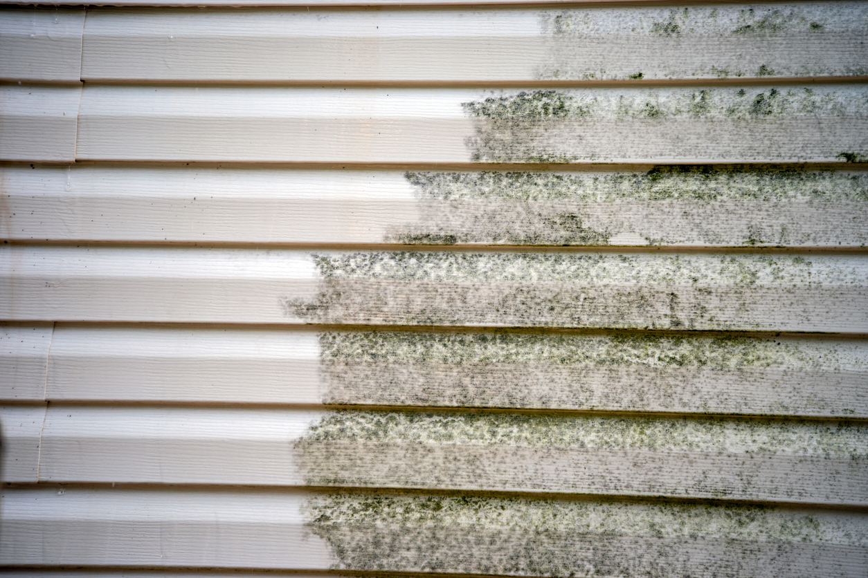 A close up look at the exterior wall of a residence where mold is being cleaned off from the vinyl siding.