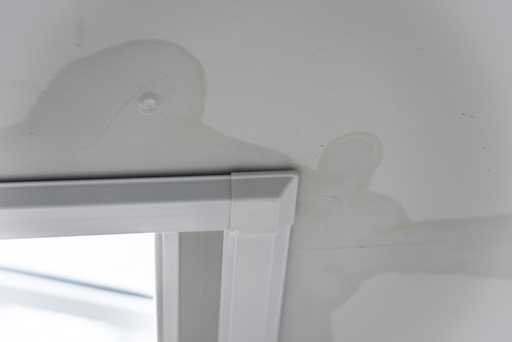 Water damage sustained from a leaking skylight.