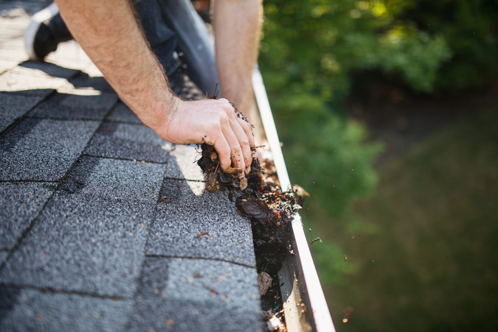 man’s hands scoop out fallen leaves and pine needles from the rain gutters of his house