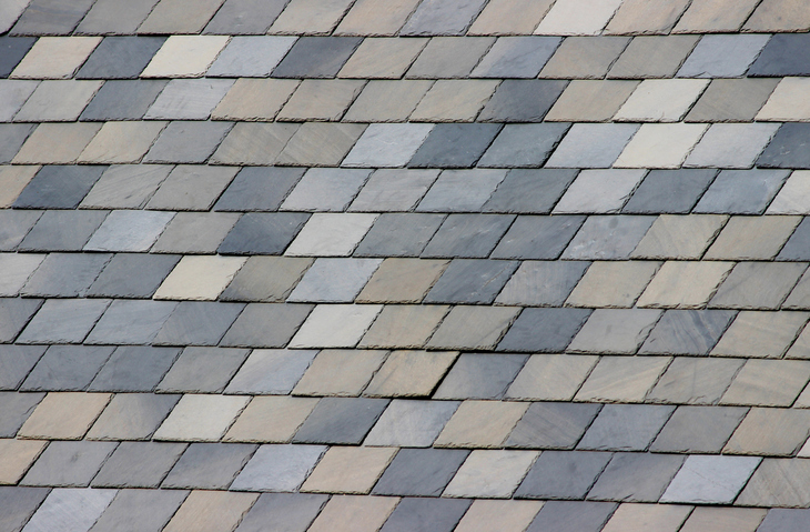Close-up photo of natural, grey slate tiles on a rural house roof.