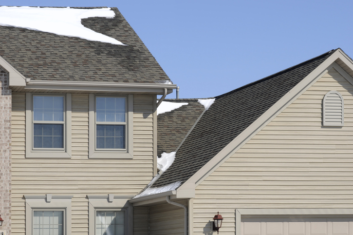 Architectural detail of house with emphasis on roof area. This is a good image to illustrate the need for a good roof in the winter. It also shows the vynal siding very nicely. Please also look at these images: